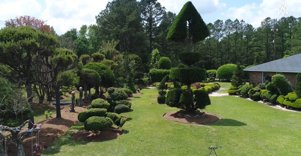 pearl fryar topiary garden