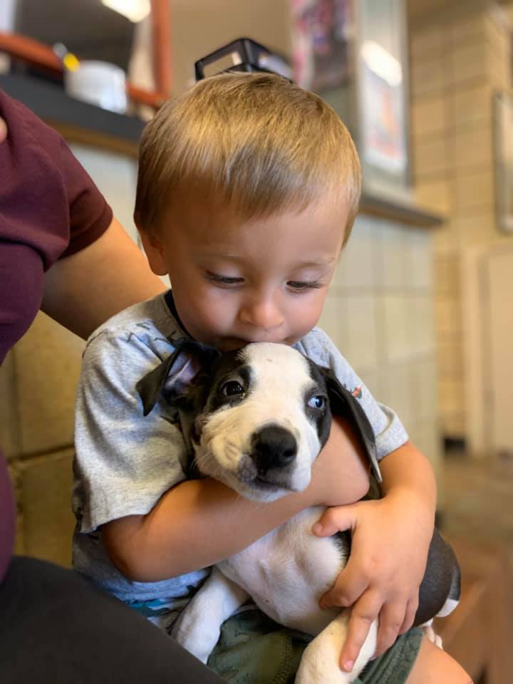 bentley with puppy