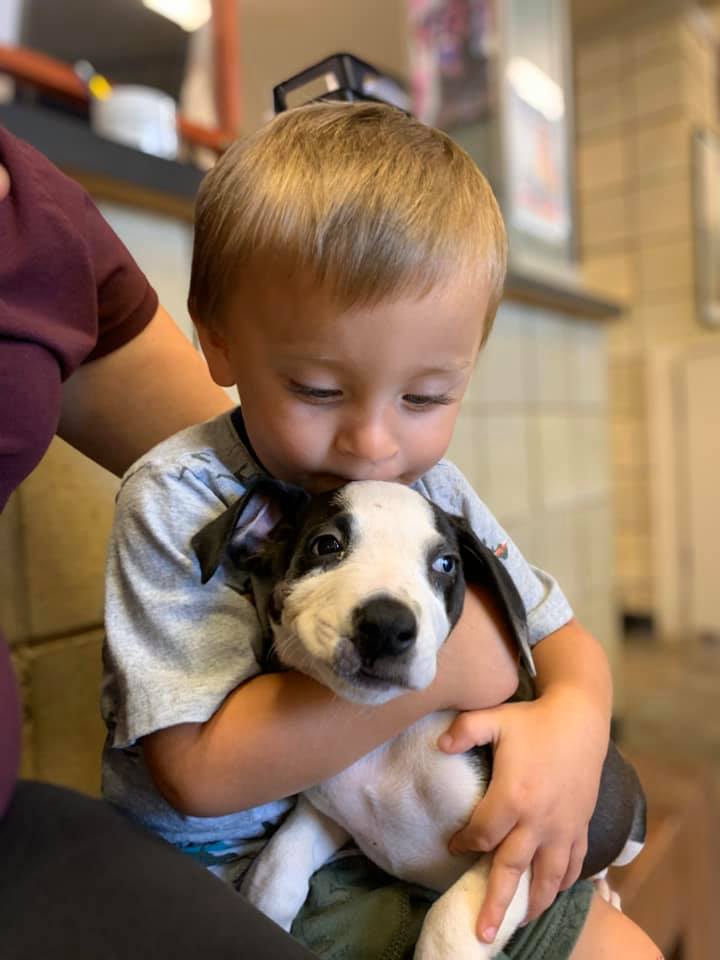 bentley with puppy