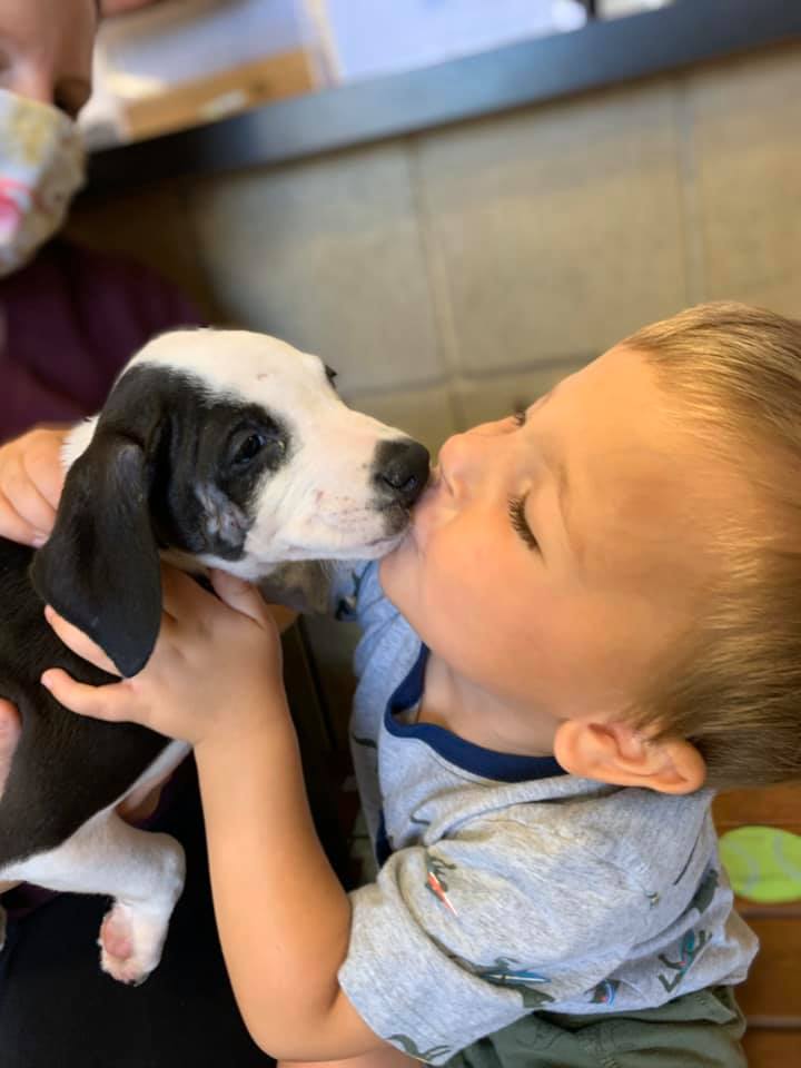 bentley with puppy