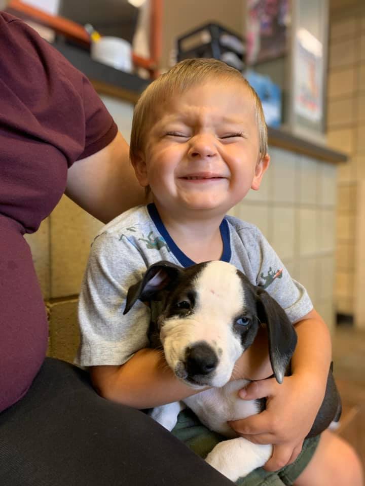 bentley with puppy