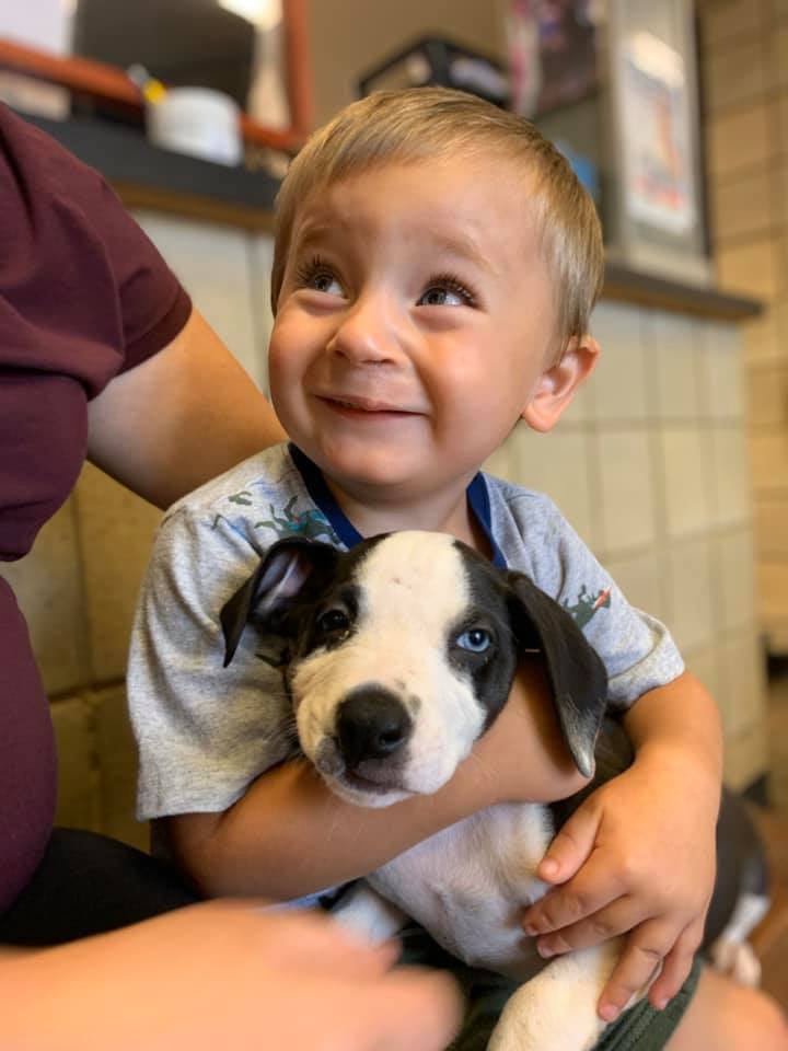 bentley with puppy