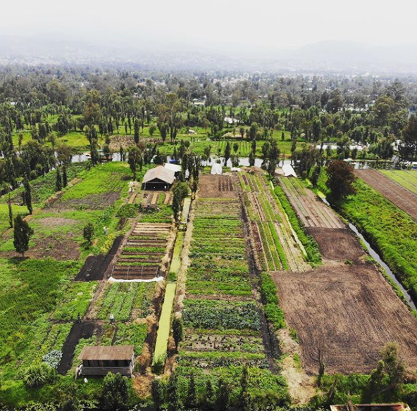 floating farms