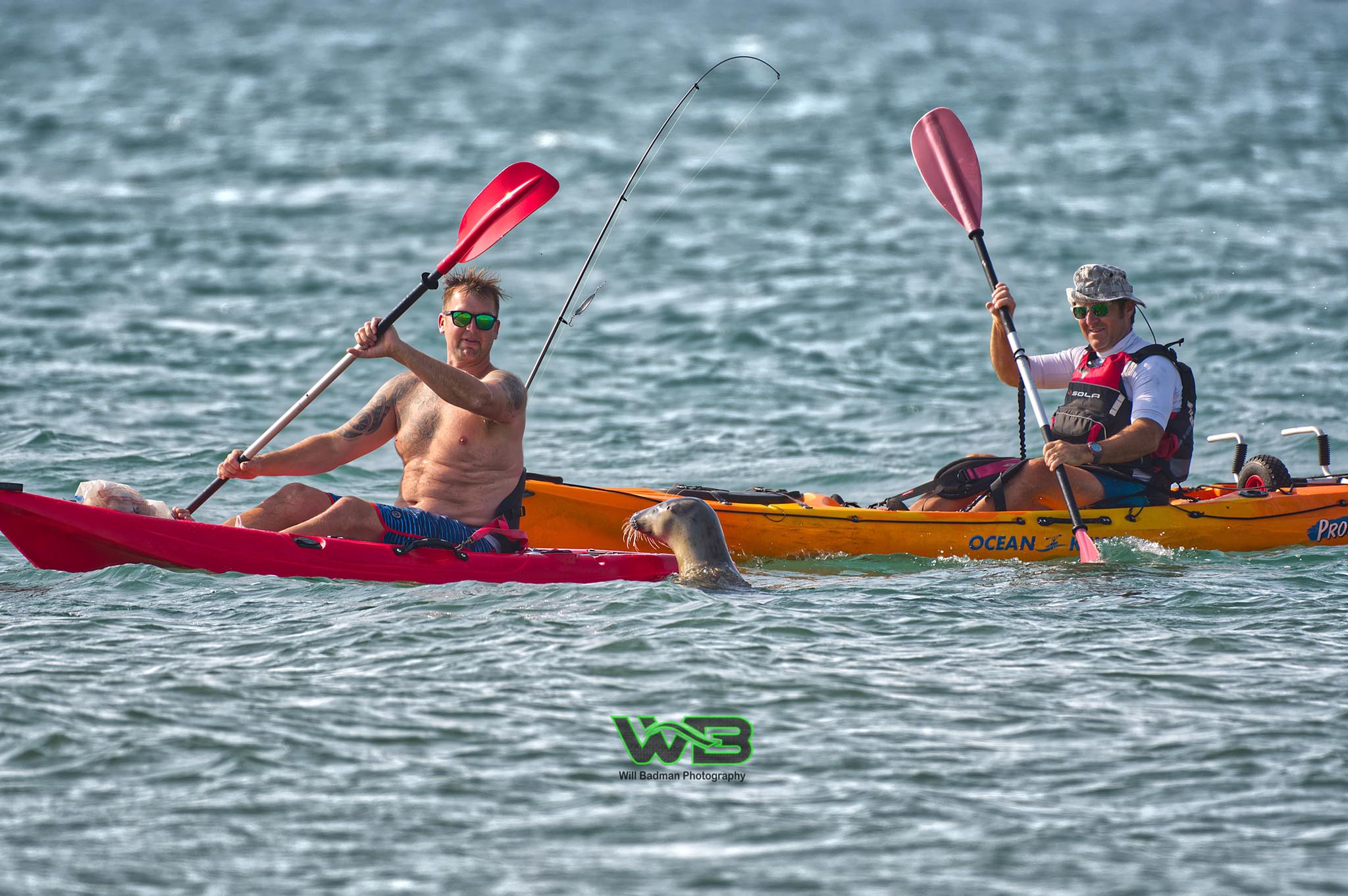 sammy with kayakers