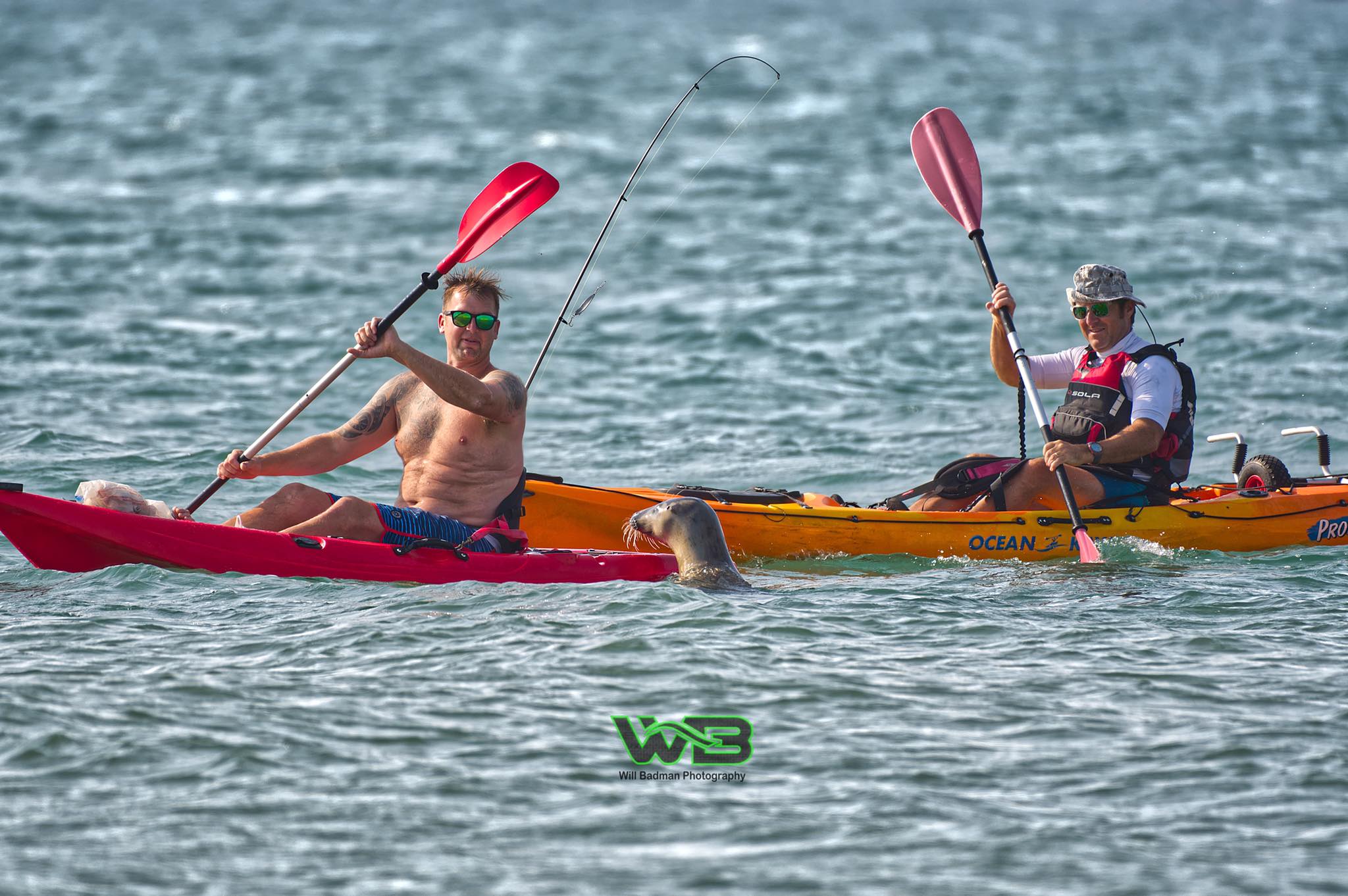 sammy with kayakers