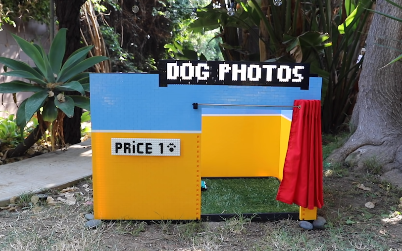 dog photo booth