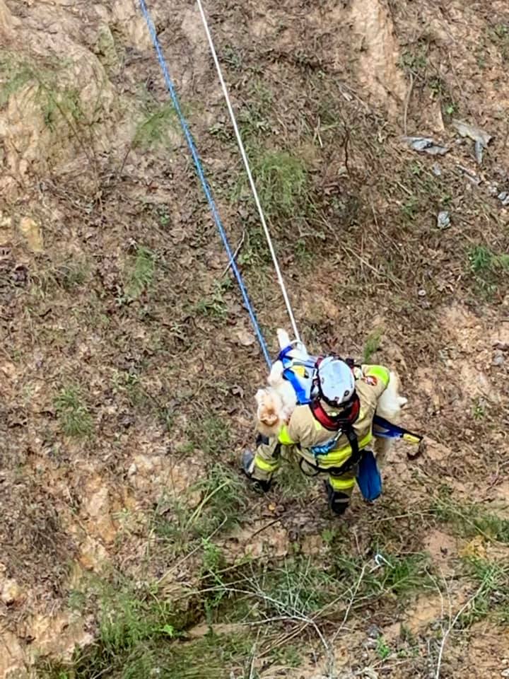 ravine rescue