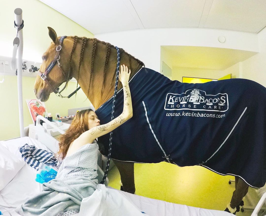 horse visits hospital patients