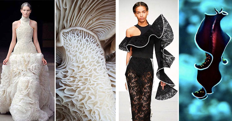 15 Times Fashion And Nature Came Together 