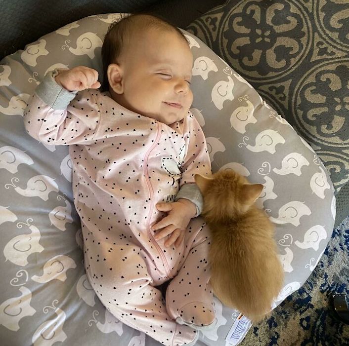 baby and kitten