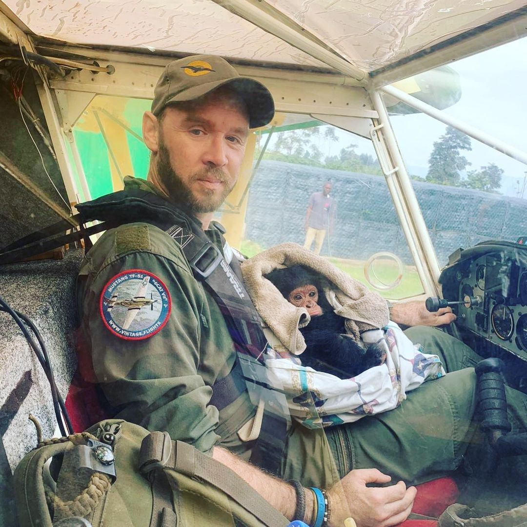 Orphaned Baby Chimp Snuggles Up To Hero Pilot On Freedom Flight To His ...