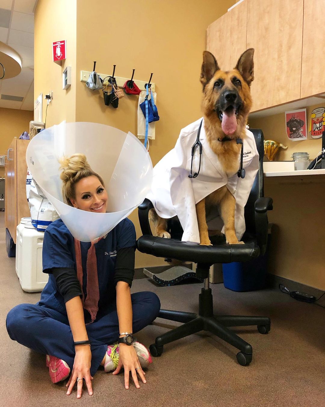 vet wears dog cone on ground while dog sits in chair wearing vet's coat