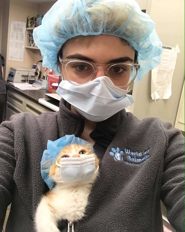 vet wearing face mask holds kitten wearing face mask