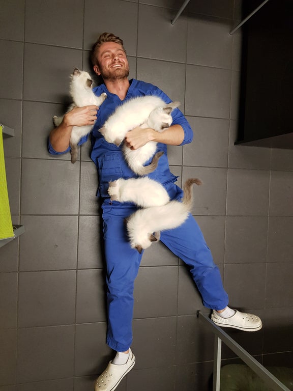 man on ground with five cats on him