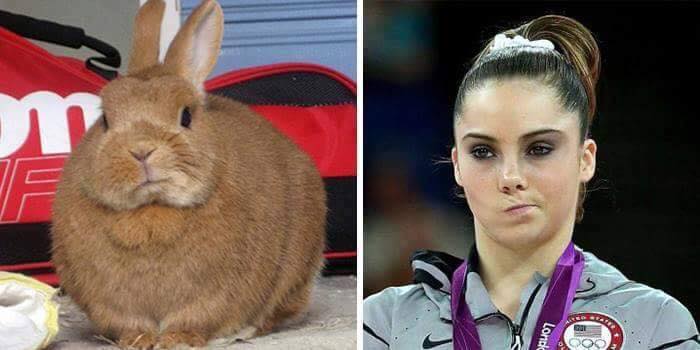 rabbit twitching its nose next to mckayla maroney twitching her nose