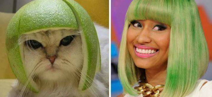 cat with melon on its head next to Nicki minaj