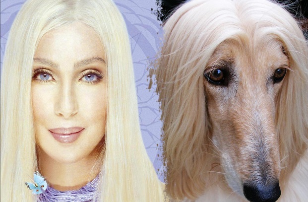 cher next to dog with same light blonde hair