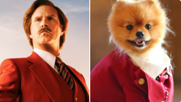 ron burgundy next to dog dressed in same red suit