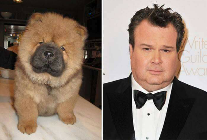 chow chow next to eric stronestreet