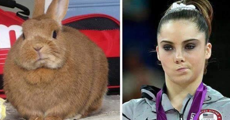 bunny twitching nose next to mckayla maroney twitching nose