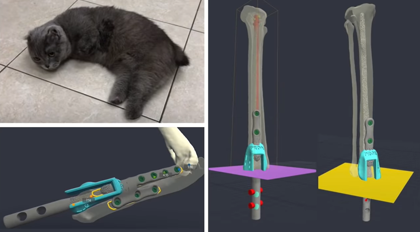 cat with missing feet next to diagrams of titanium prostheses 