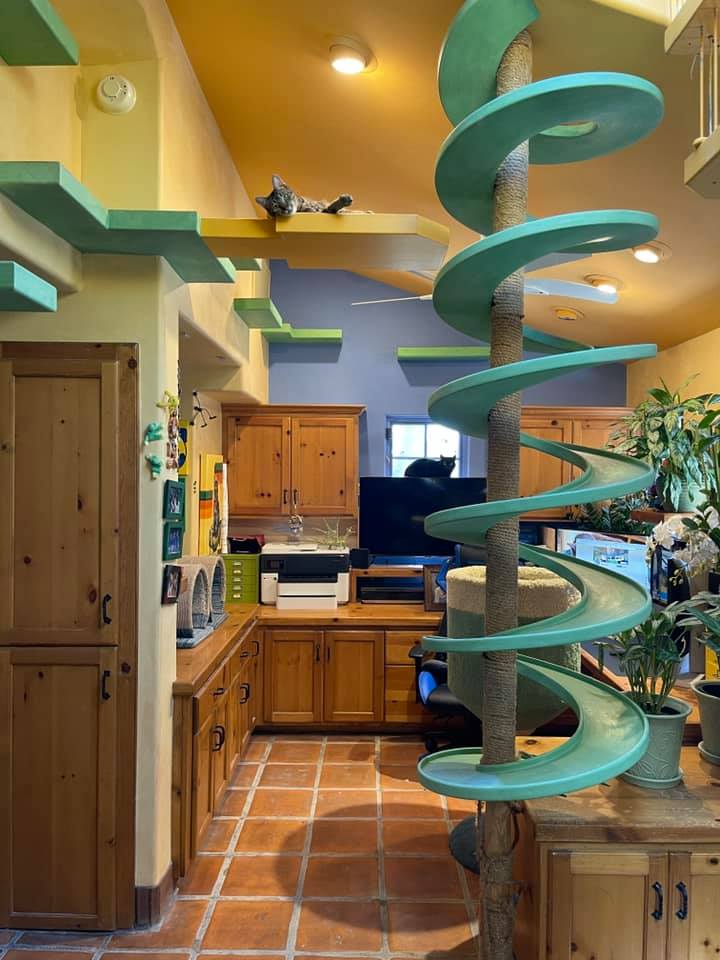 Man Builds Mini Paradise For His Cats And It s Catnip For The Soul