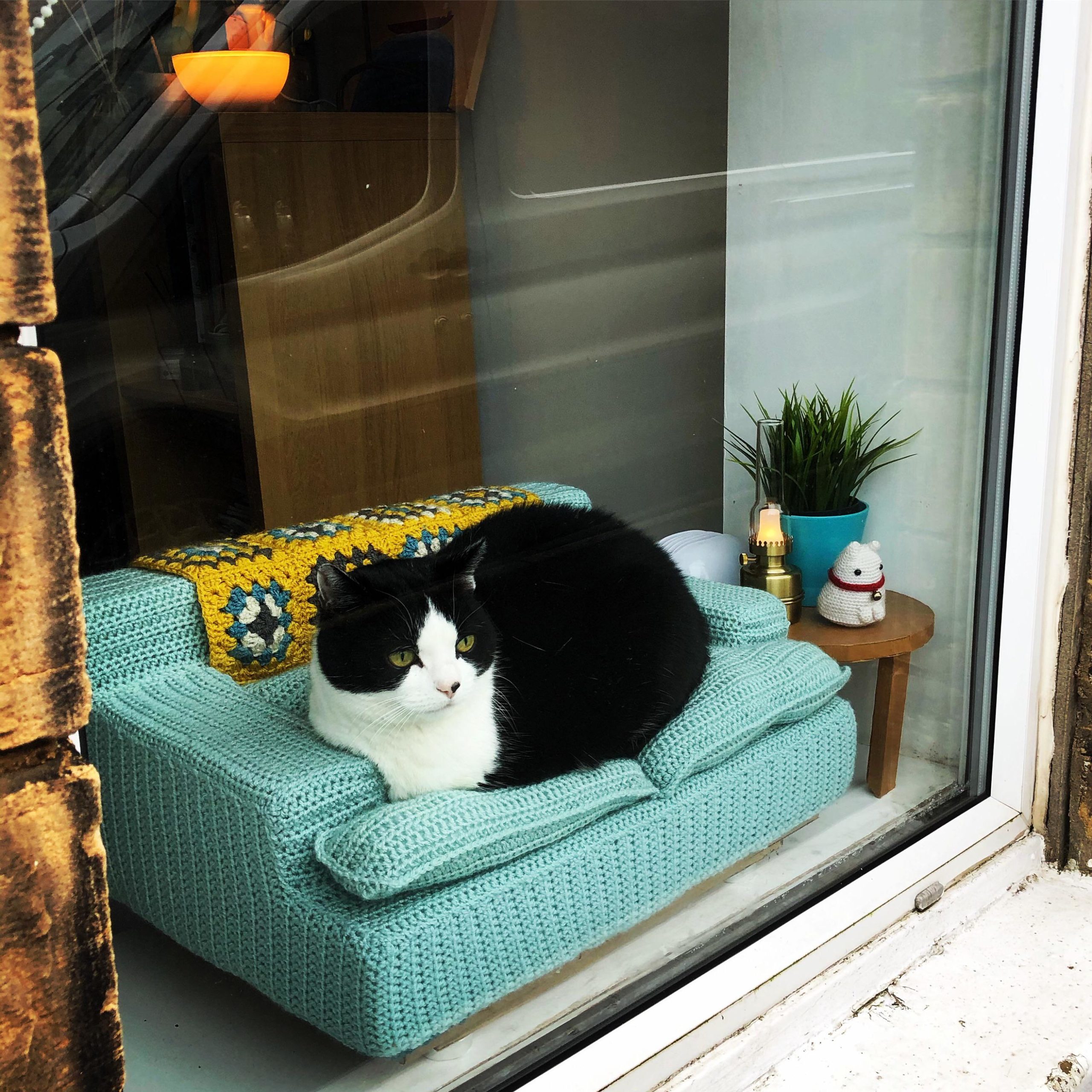 cat sitting on mini crochet couch