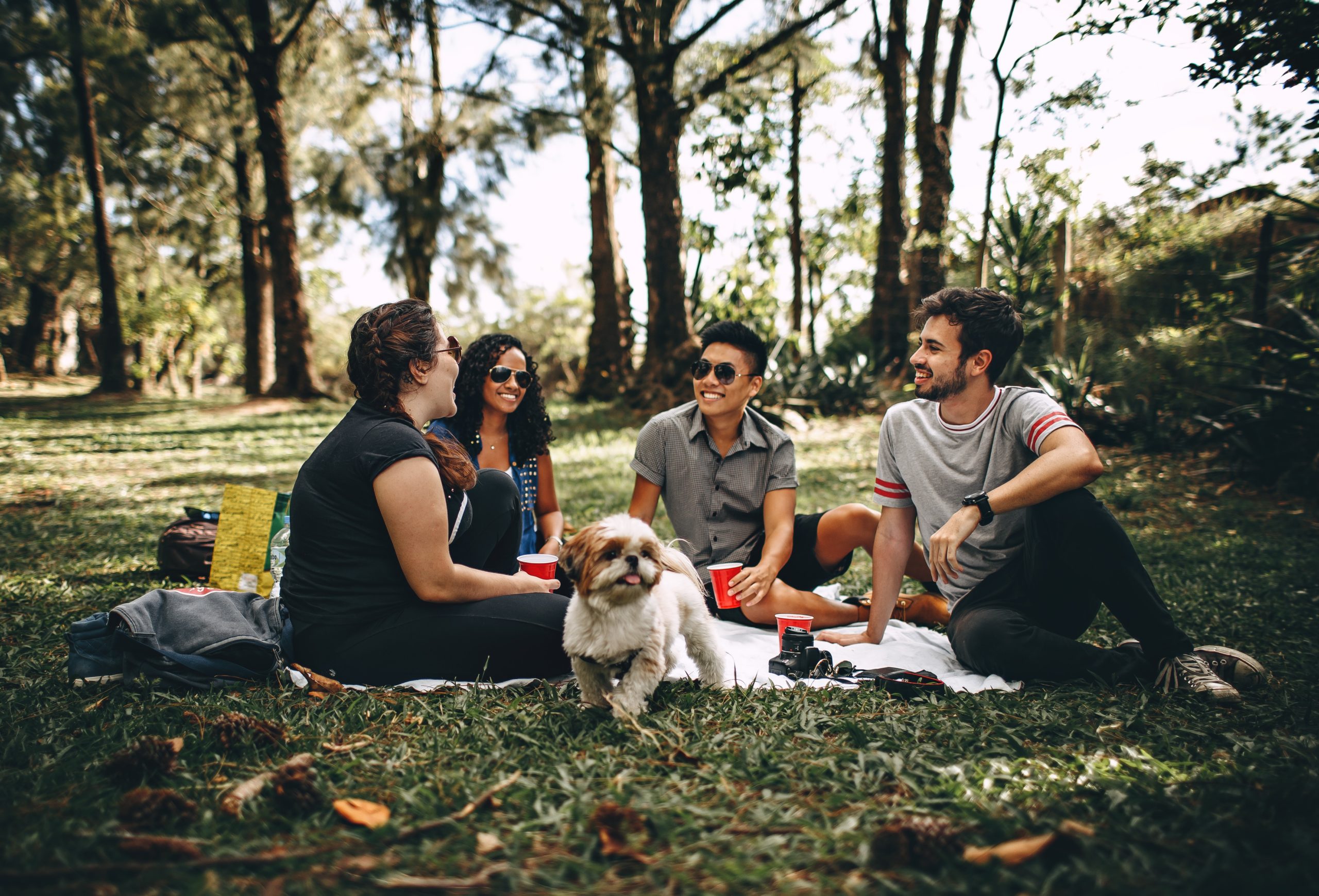 four adults having picnic with a dog 