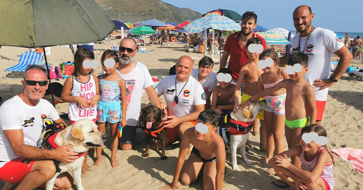 lifeguard dogs with group of people on beach