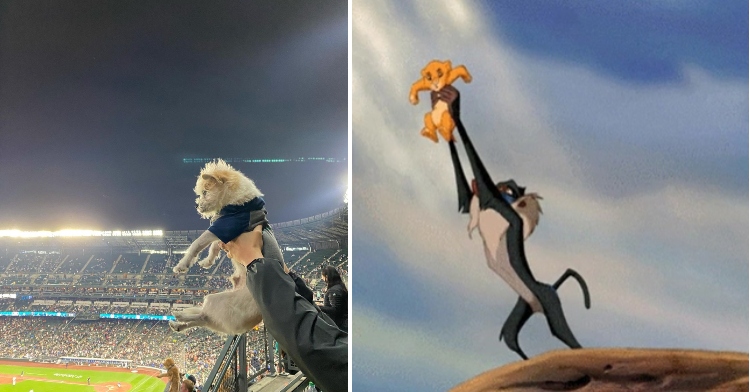 Simba Cam and Lion King