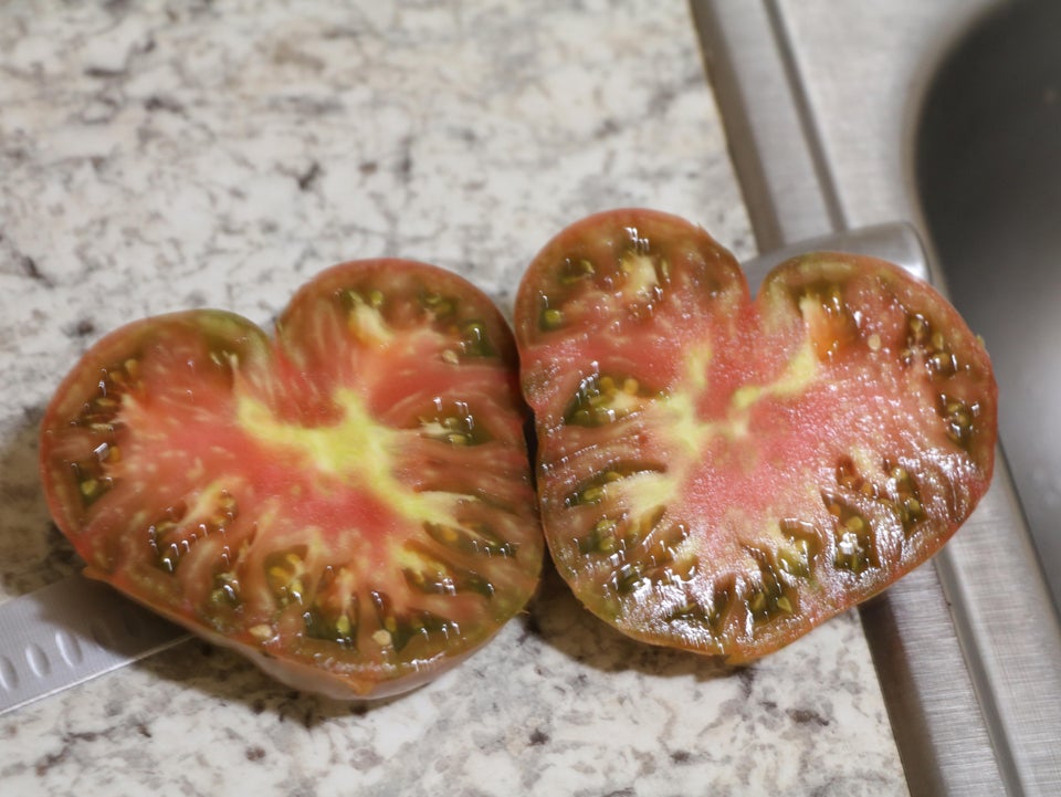 tomato that grew in the shape of a heart
