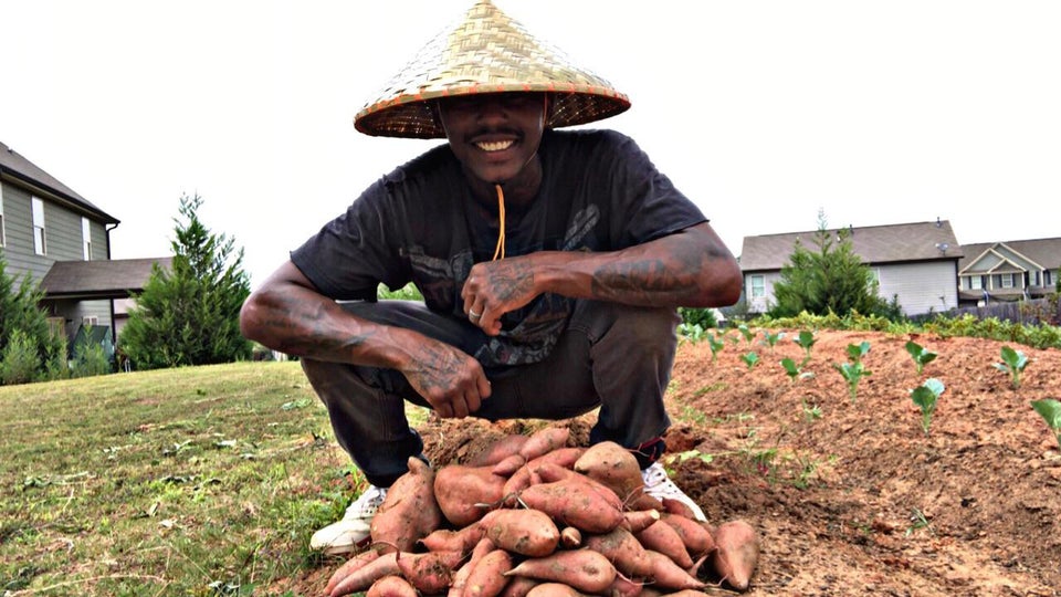 man in hat harvesting pile of sweet potatoes from garden