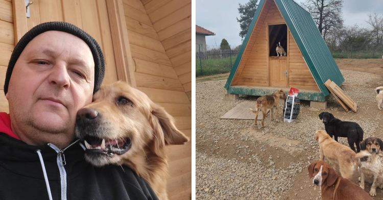 man with dog next to dogs by shelter