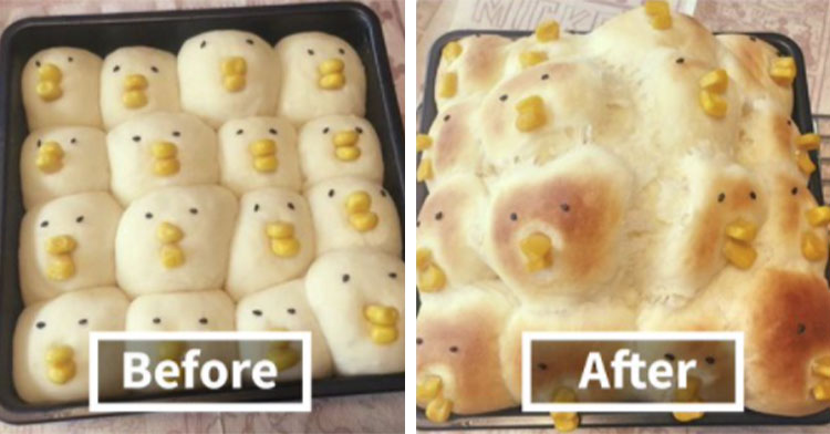 cute chick bread rolls vs exploded chick bread rolls