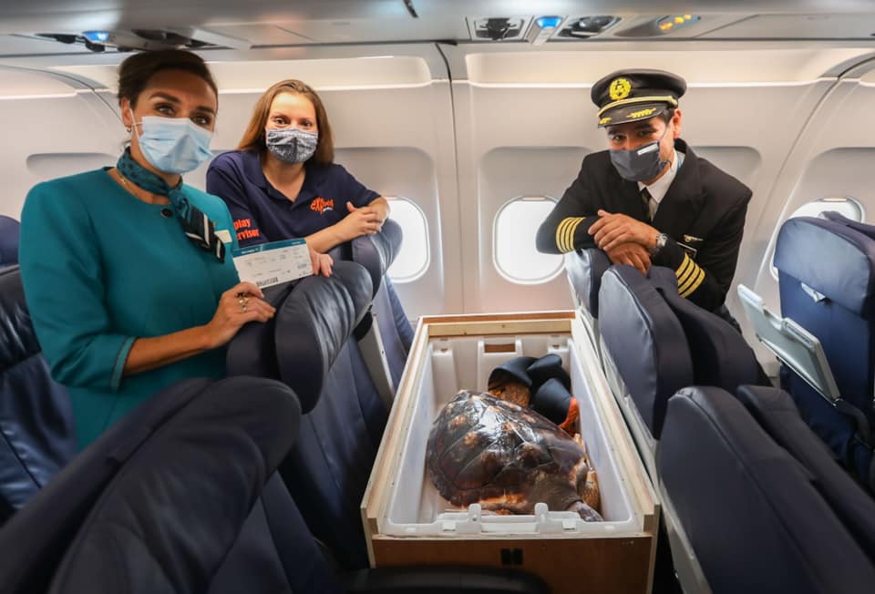 airplane captain and two women standing in front of airplane seats and posing next to a turtle in a crate