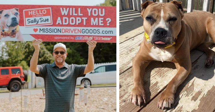 man holding dogs adoption billboard