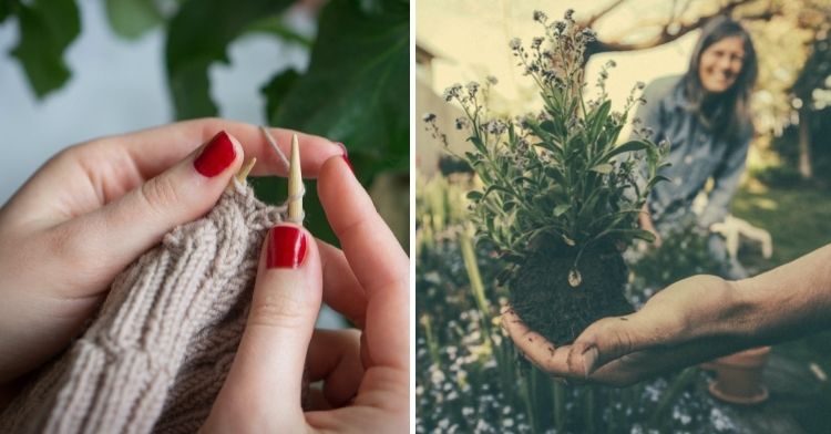 knitting and gardening