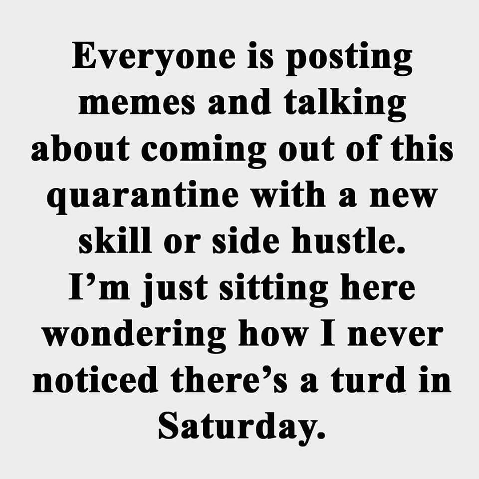 Covid meme: everyone is coming out of quarantine with a new skill or side hustle. I'm just sitting here wondering how I never noticed there's a turd in Saturday