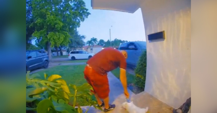 delivery driver petting Tuna the cat