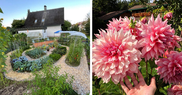 home with intricate garden out front next to giant pink flowers by someone's hand
