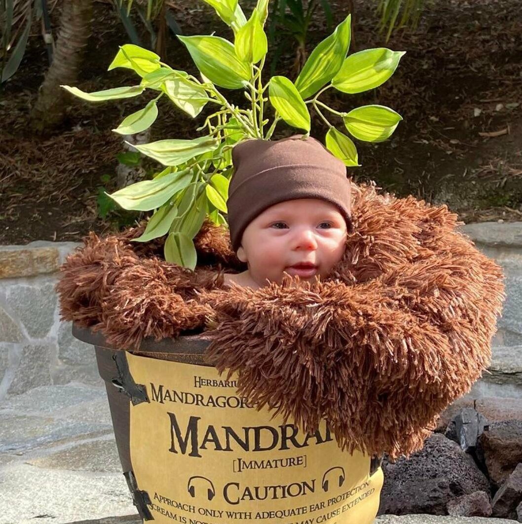 Infant dressed as Mandrake root plant from Harry Potter