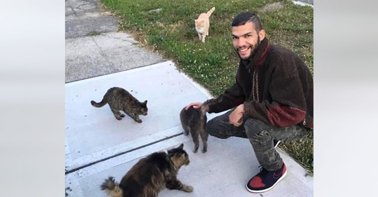 man surrounded by four cats
