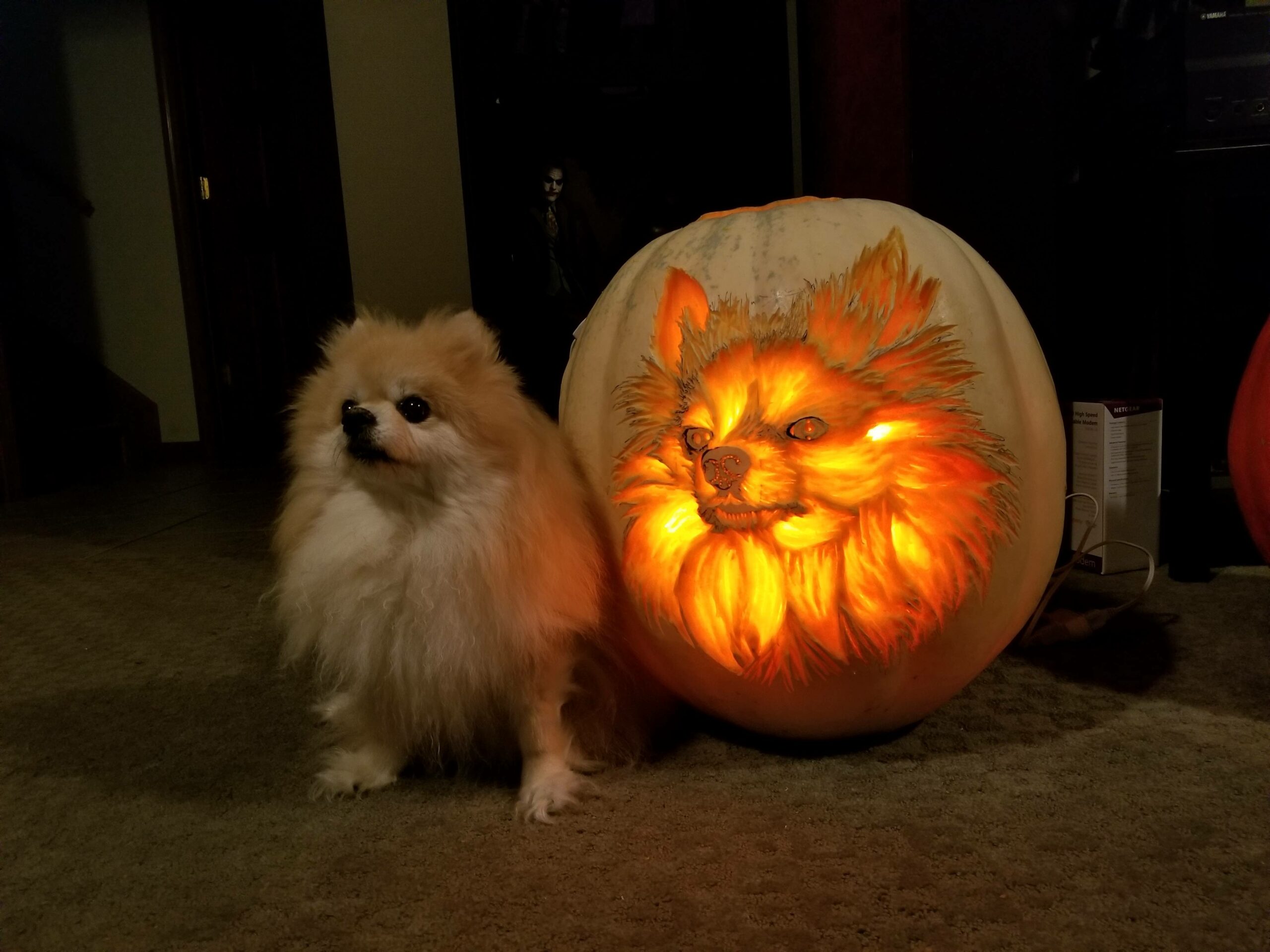 small dog sitting next to a lit up pumpkin carved to look like them