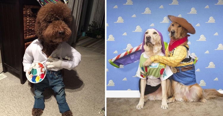 30 Adorable Dog Costumes That Won Halloween, Paws-Down – InspireMore