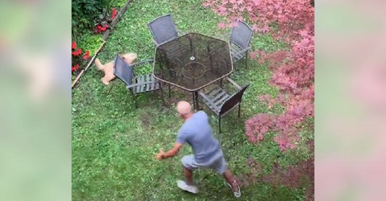 man chasing dog around backyard table