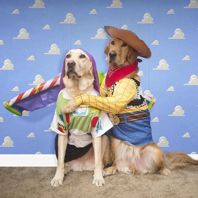 2 dogs in Buzz and Woody costumes
