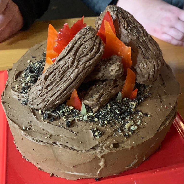 cake design fail campfire