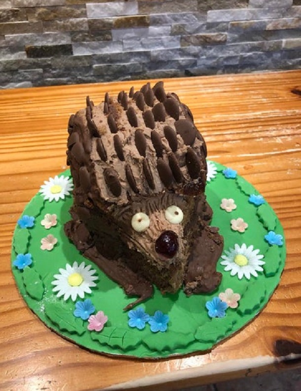 hedgehog cake that failed