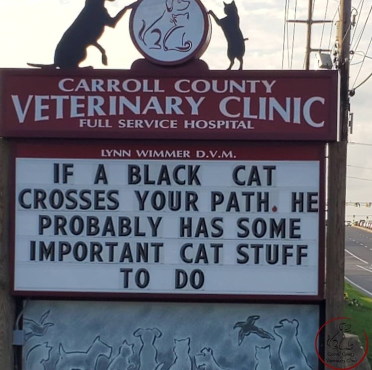 carrol county veterinary clinic sign that reads "If a black cat crosses your path, he probably has some important cat stuff to do"