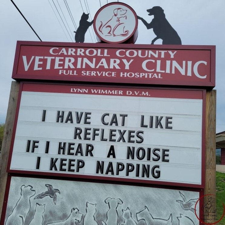 carrol county veterinary clinic sign that reads "I have cat like reflexes if I hear a noice I keep napping"